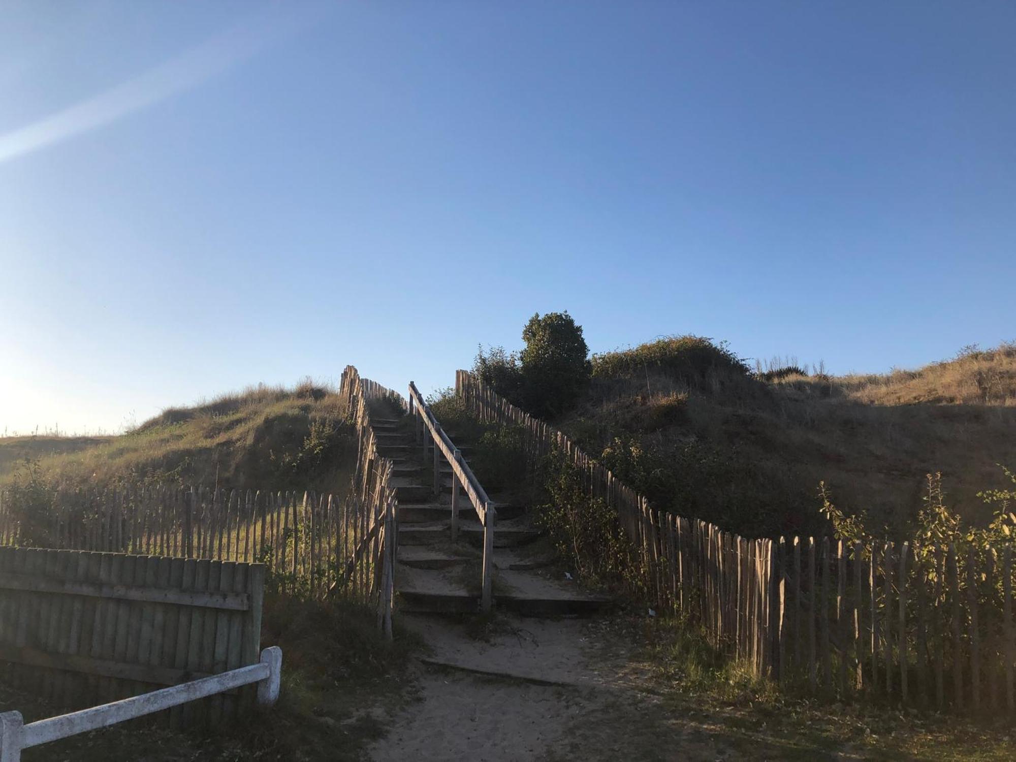 Le Petit Navire - Acces Direct Plage Cabourg Exteriör bild